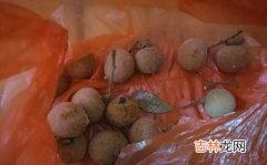 龙眼可以放冰箱保鲜吗,龙眼能放冰箱保存吗 龙眼能不能放冰箱保存