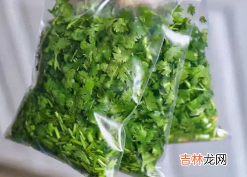 香菜怎么保存时间长还新鲜,新鲜香菜如何长期保存方法