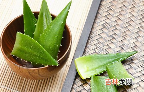 芦荟排毒养颜胶囊的功效,吃排毒养颜胶囊的好处是什么?应该注意什么呢?