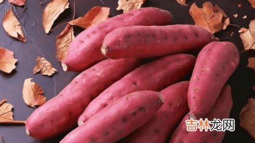 雪莲果与什么同食中毒,雪莲果不能与什么同吃 雪莲果饮食禁忌