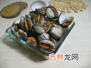 盐水煮毛蚶如何做,毛蚶子怎么做好吃？