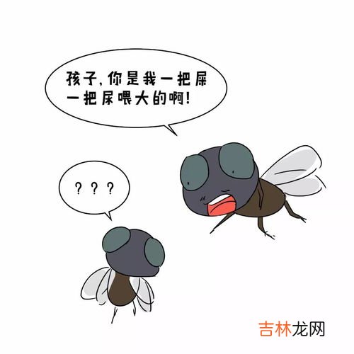 家中都是苍蝇应该如何解决,家里苍蝇太多怎么消灭小妙招