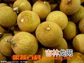 新鲜龙眼外面发霉还能吃吗,外皮发霉的龙眼还能不能吃啊？