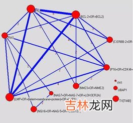 如何进行科学问题的研究,怎样进行科学探究？