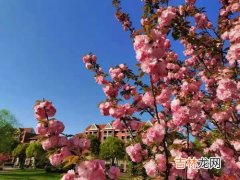 花路是什么意思,晚风吹行舟花路入溪口的意思 晚风吹行舟花路入溪口什么意思