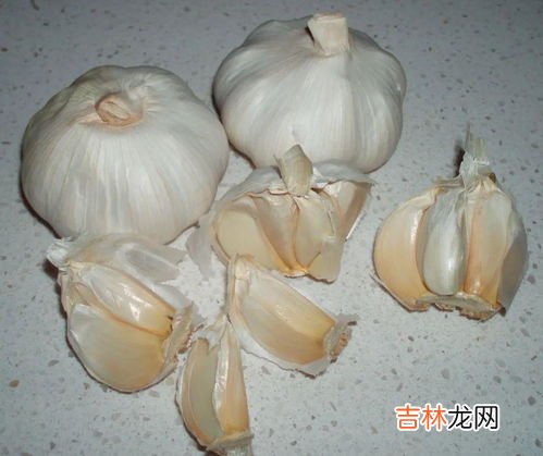 大蒜保存方法,新鲜大蒜怎么长期保存方法