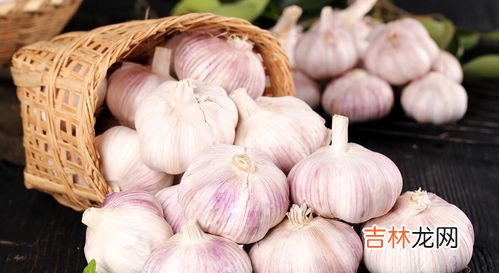 大蒜保存方法,新鲜大蒜怎么长期保存方法