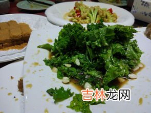 汗菜学名叫什么,惊蛰过后能种汗菜吗？你怎么看？