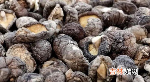 新鲜香菇发霉了可以洗了吃吗,香菇有点发霉洗干净还能吃吗