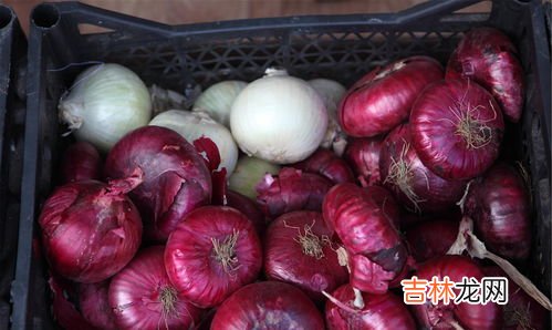 黄洋葱和紫洋葱的区别是什么,黄皮洋葱和紫皮洋葱有什么区别?哪个的味道大?