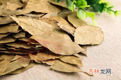香叶和月桂叶的区别有哪些,月桂叶和香叶的区别 月桂叶和香叶有没有区别