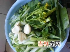 油菜花怎么炒,怎样炒油菜花最好吃