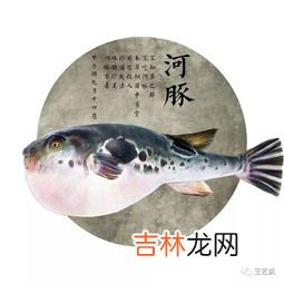 河豚的特点有哪些,河豚到底有多好吃？为何有人会冒着中毒的风险也要吃河豚？