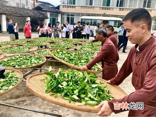 漳平水仙和铁观音的主要区别,漳平水仙茶哪个品牌好