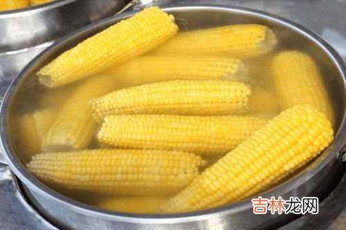 玉米属于什么季节的产物,玉米是什么季节成熟的？