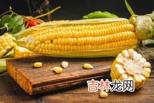 玉米属于什么季节的产物,玉米是什么季节成熟的？