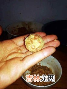 油炸猪肉丸子的做法,油炸猪肉丸子的做法及配方