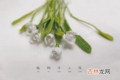 雪滴花的花语是什么,雪滴花的花语