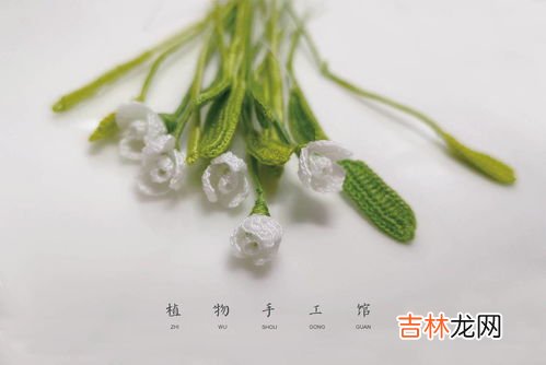 雪滴花的花语是什么,雪滴花的花语