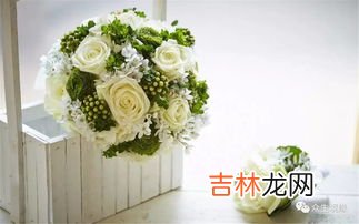情人节送香槟玫瑰是什么寓意,香槟玫瑰花语是什么意思