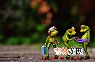 青蛙是益虫吗为何,青蛙为什么是益虫