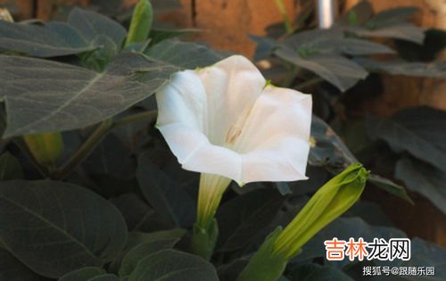 三的寓意以及象征,3的寓意3的寓意有哪些