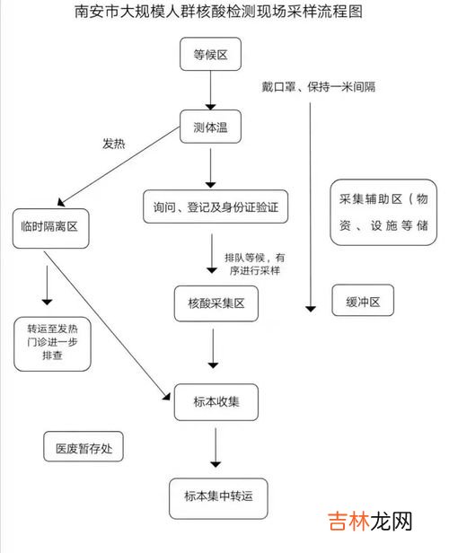 巴西比戈的功能作用,珑珠牌巴西比戈效果怎么样