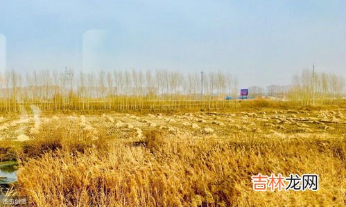 黑土肥沃的原因,东北平原黑土肥沃的原因