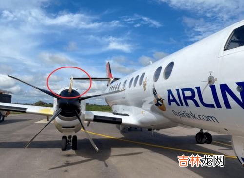 没有螺旋桨的东西是指什么梗,没有螺旋桨的东西