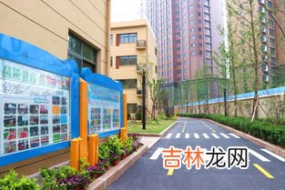 郑州桐柏路属于哪个区,桐柏路小学属于哪个居委会