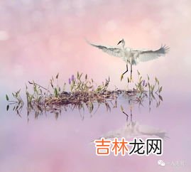 心似双丝网中有千千结什么意思,心似双丝网中有千千结什么意思 出自哪里