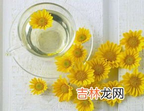 青驰菊的功效与用途,有机青驰菊花茶的功效是什么？