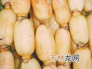 莲藕可以生吃吗,莲藕生的可以吃吗