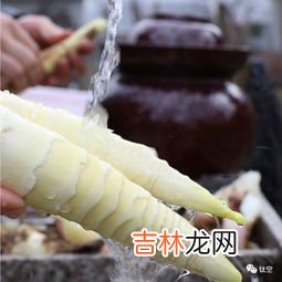 春笋怎么剥皮,春笋怎么剥皮 竹笋怎么剥剥到什么程度