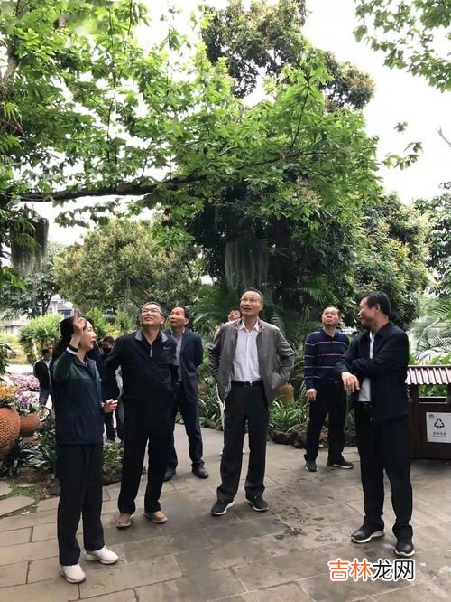 碳汇林与普通林的区别,碳汇林的发展缘由