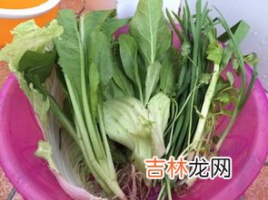 五七的5样菜都有哪些,五七具体要烧哪些菜