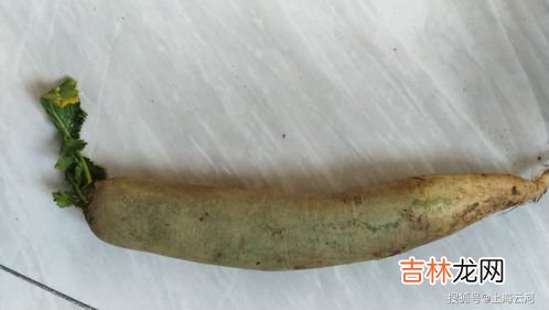 胡萝卜是不是水果,胡萝卜是蔬菜还是水果