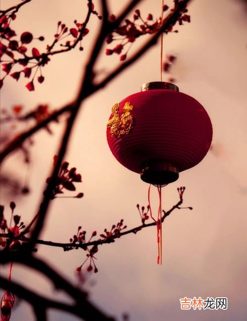 春节的来历风俗和意义,春节的由来和风俗简介