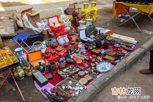 花鸟市场一般卖什么,富阳花鸟市场有蛇吗