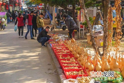 花鸟市场一般卖什么,富阳花鸟市场有蛇吗