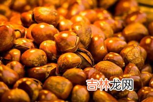 栗子是水果吗,银杏和板栗是水果吗
