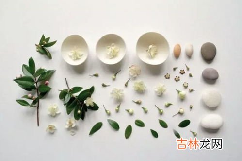 药油和精油的区别,精油跟药油的区别好处在哪里 ,做身体保养是精油好还是药油好?比如卵巢保养,肩颈保养