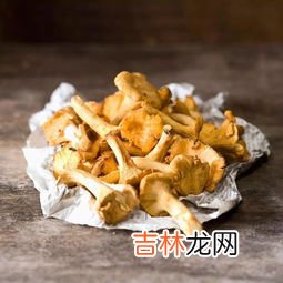 新鲜鸡油菌要焯水吗,鸡油菌干怎么做好吃又简单