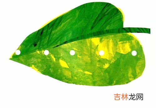 毛毛虫吃什么东西,毛毛虫吃什么食物