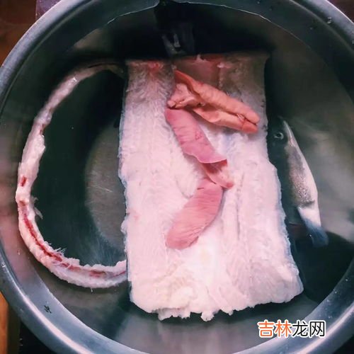 鳗鱼杀了放冰冻还是保鲜,新鲜海鳗鱼的保存方法介绍新鲜海鳗鱼如何保存