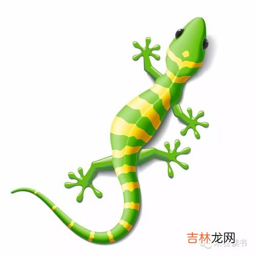 壁虎怕不怕冷,开空调壁虎怕冷吗