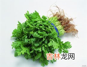 香菜和芹菜有什么关系,芹菜和香菜是同源的吗