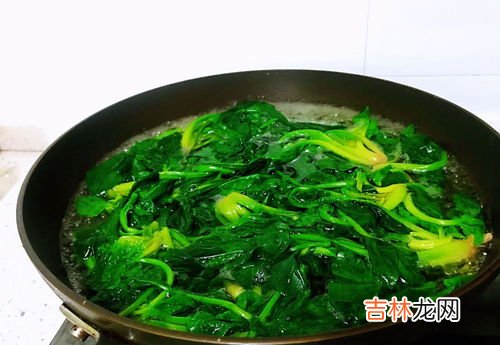 菠菜怎么保存新鲜不烂,菠菜怎么保存冬天吃