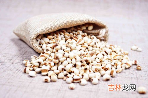薏米和什么一起煮粥好,薏仁可以和什么搭配做粥