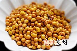 一斤大豆能榨多少油,一斤黄豆出多少油